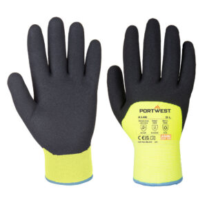 GANT HIVER ARCTIC