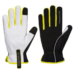 PW3 GANT HIVER