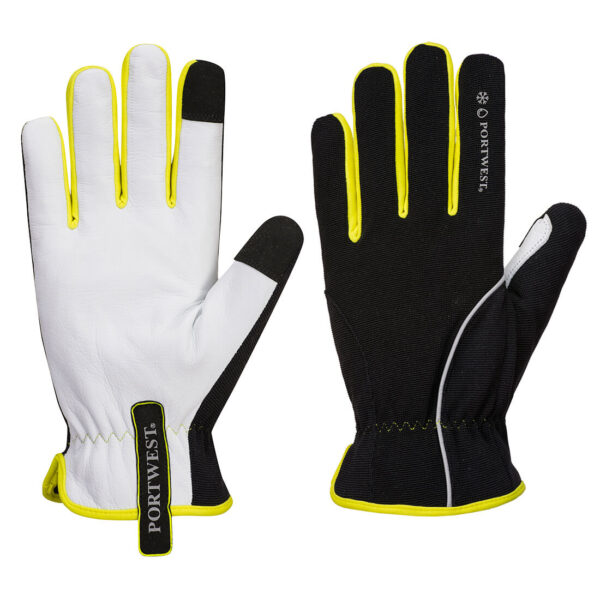 PW3 GANT HIVER